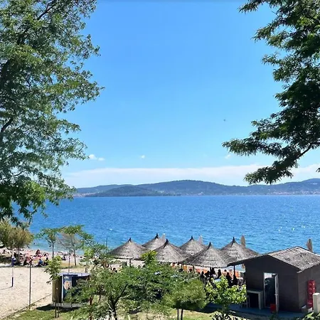 Ana Zadar